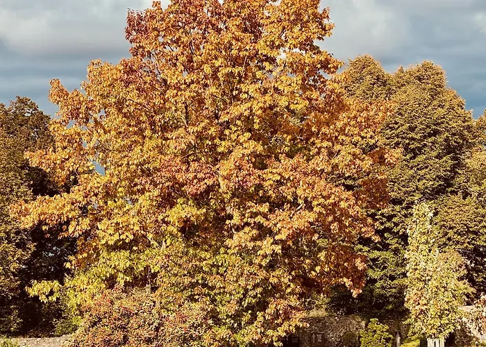 Vakantiehuis Mainglueck Seligenstadt
